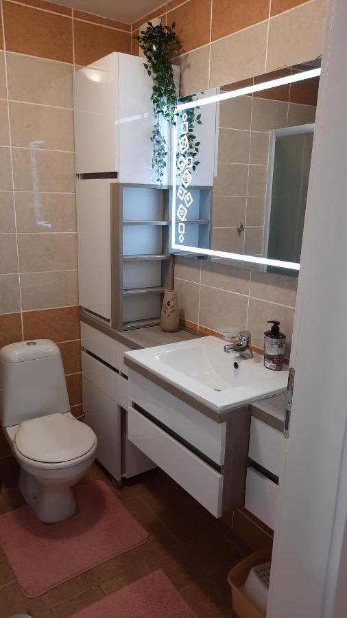 Apartman Modena Lux Vrnjačka Banja 外观 照片