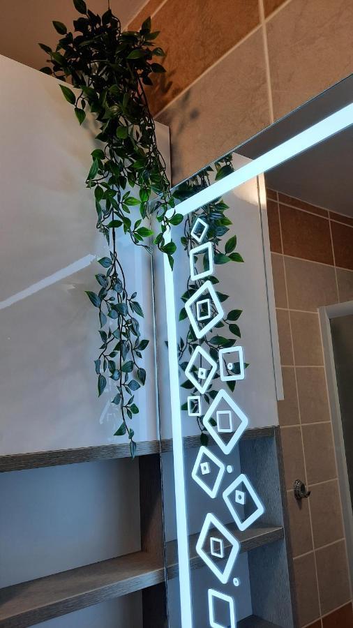 Apartman Modena Lux Vrnjačka Banja 外观 照片
