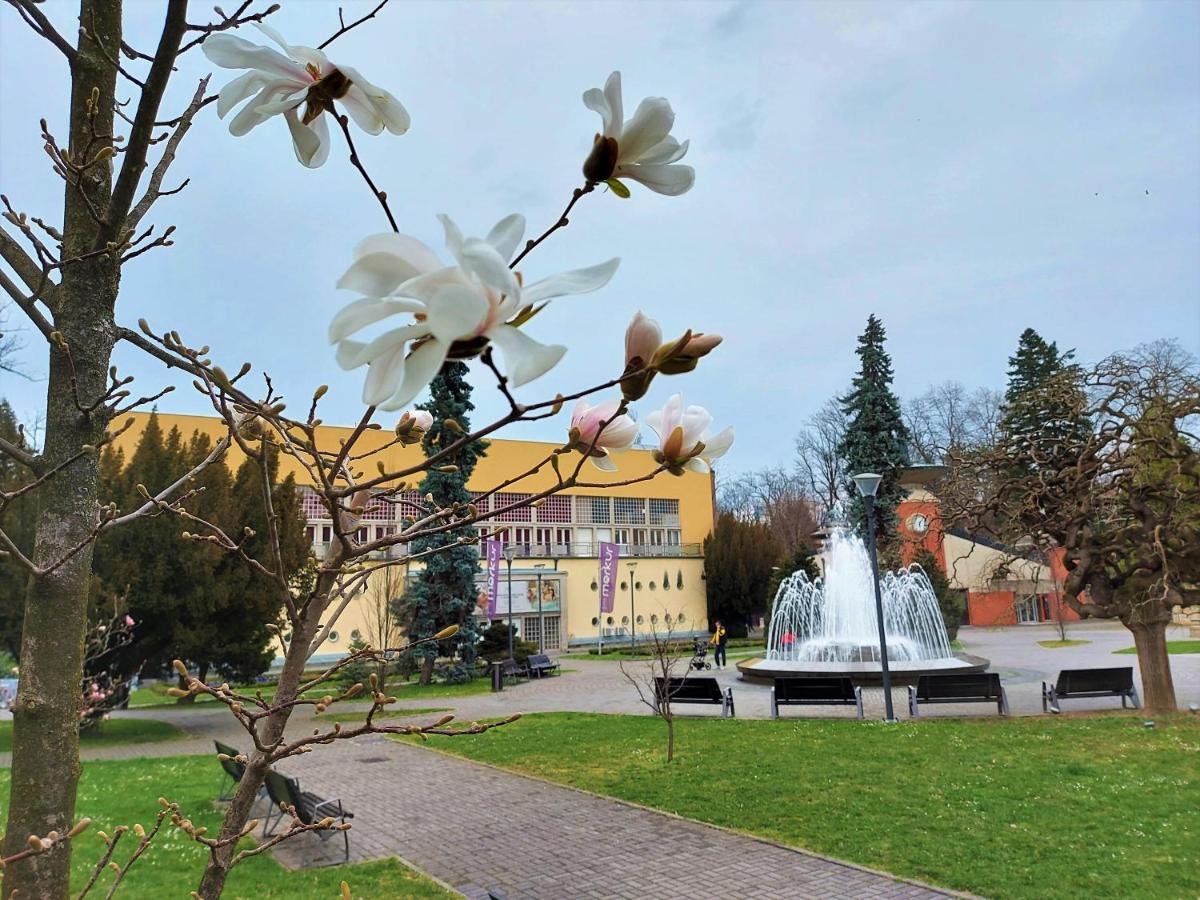 Apartman Modena Lux Vrnjačka Banja 外观 照片